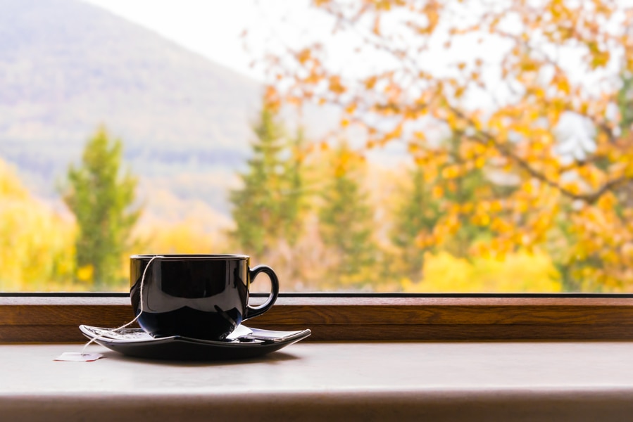 hot cup of tea in bay window overlooking autumn trees representing fall indoor air quality