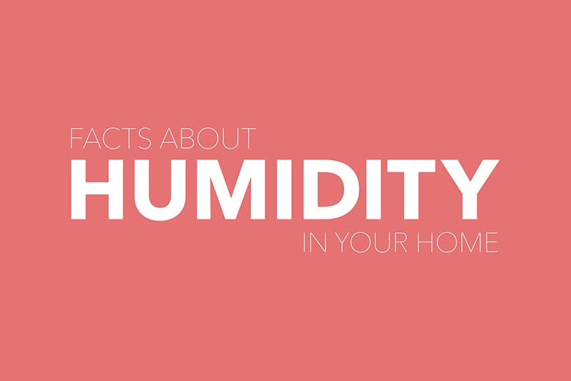 Video - Facts About Humidity